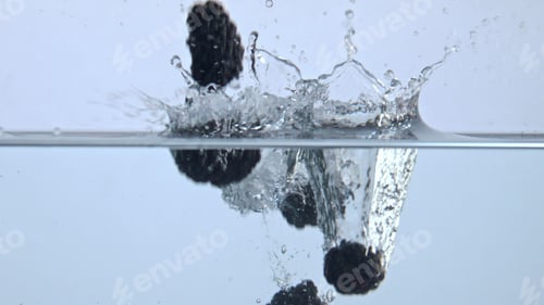 Preview: Tasty berries splashing inside aqua closeup. Bramble floating transparent water