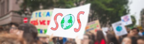 Preview: Fridays for future protest