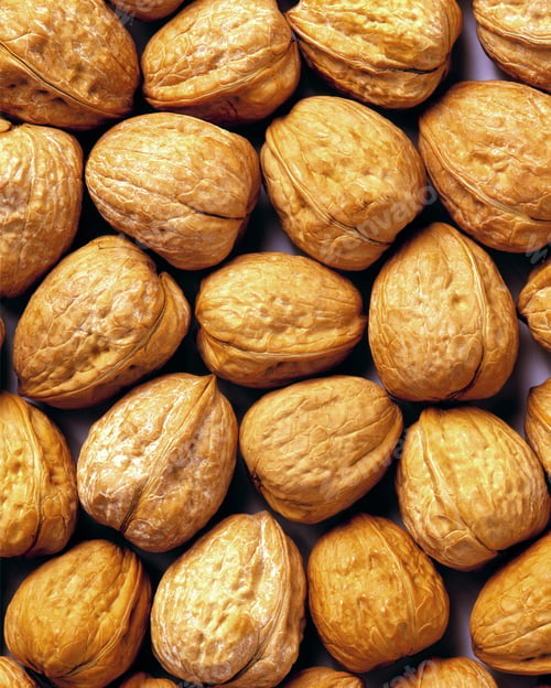 Preview: Background of ripe brown hazelnuts