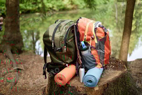 Preview: Two Hiking Backpacks with Yoga Mats Resting on Tree Stump near Forest Lake