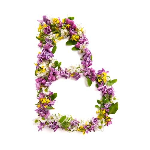 Preview: The letter «B» made of various natural small flowers.