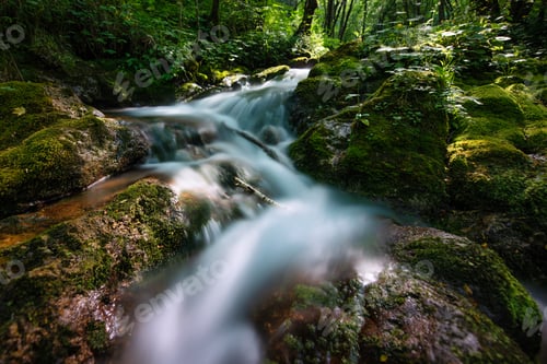 Preview: Small stream in the forest