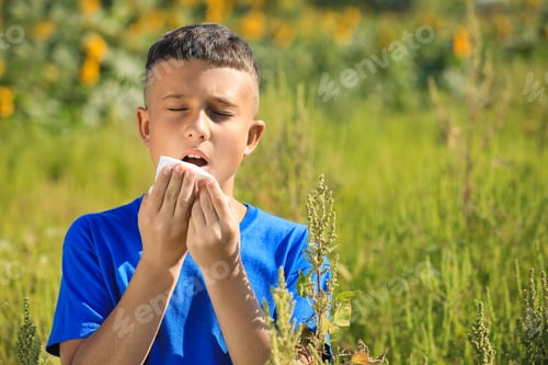 Preview: Little boy suffering from ragweed allergy outdoors