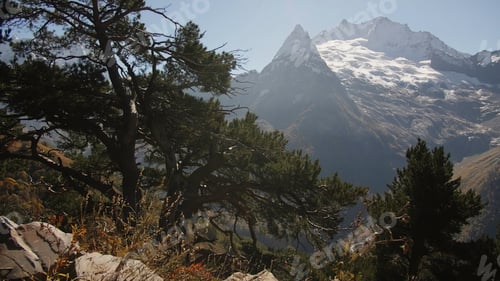 Preview: Beautiful mountain valley with forest in autumn. Creative. Beautiful mountain landscape with forest