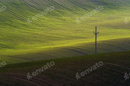 Preview: Detail scenery at South Moravian field during spring, Czech republic.