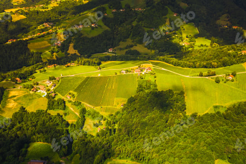 Preview: Aerial view of green hills and vineyards with mountains in background