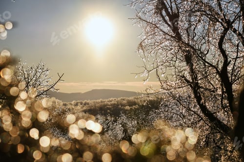 Preview: Early morning sun sunrise over a frozen winter landscape.