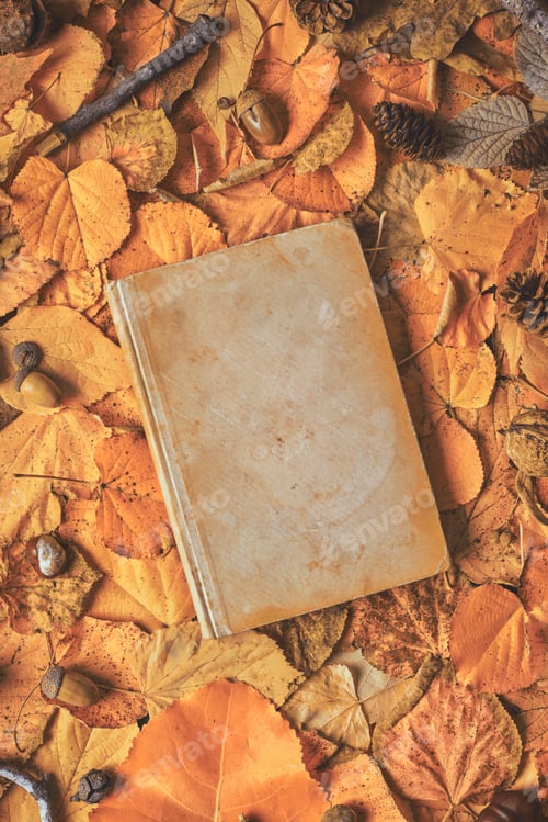 Preview: Old book with blank covers as copy space on creative autumn background