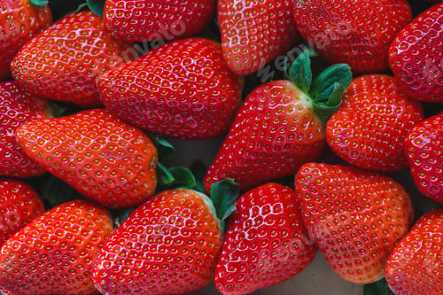 Preview: Fresh harvested strawberries background