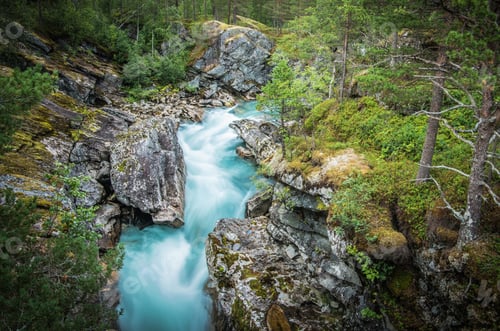 Preview: Scenic Alpine Creek