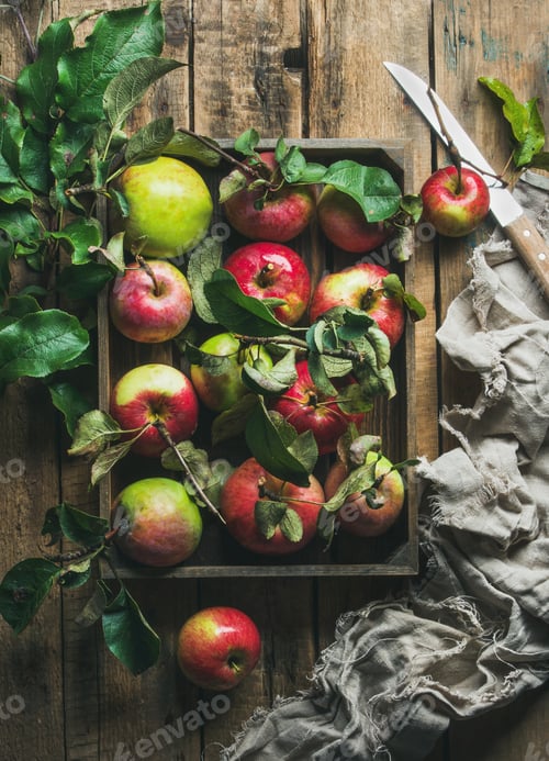 Preview: Seasonal garden harvest apples with green leaves in wooden tray