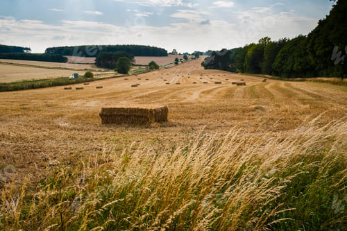 Preview: Blockley, The Cotswolds, Gloucestershire, England, United Kingdom