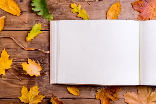 Preview: Autumn leaf composition, photo album. Studio shot, wooden back