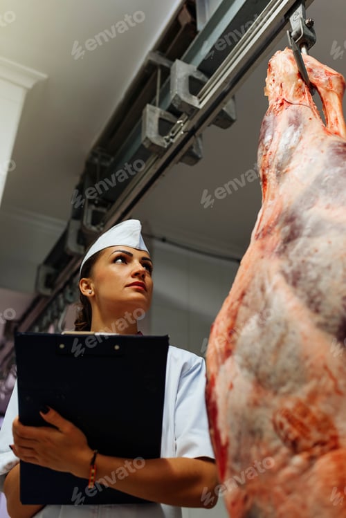 Preview: Meat quality control in butchery.