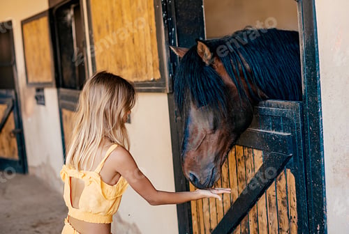 Preview: girl in the stable feeding a horse