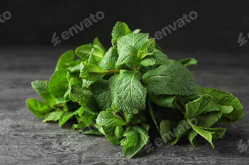 Preview: Bundle of fresh green mint on grey table
