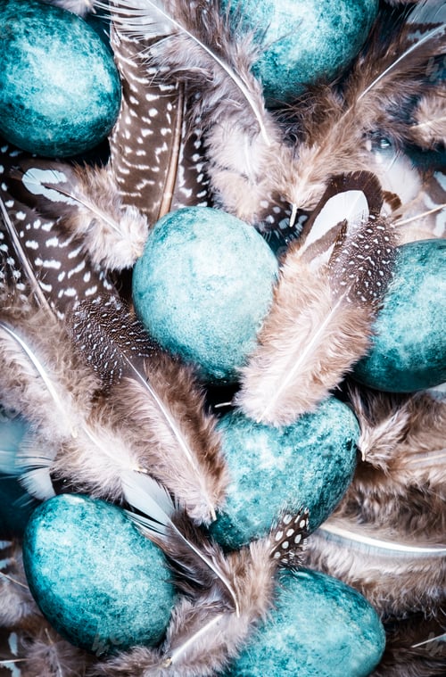 Preview: Easter blue eggs with colorful bird feathers on blue background, top view