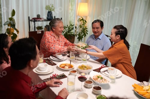 Preview: Family Eating Traditional Spring Rolls