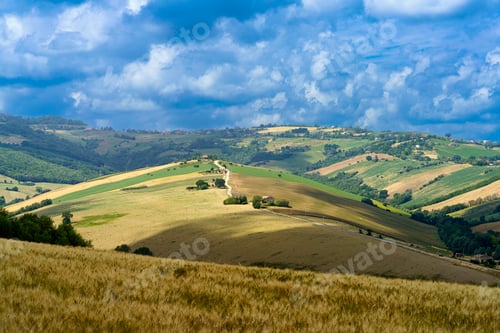 Preview: Rural landscape in Fermo province, Marche, near Monterubbiano