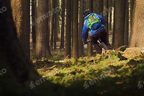 Preview: Male mountain biker riding through forest