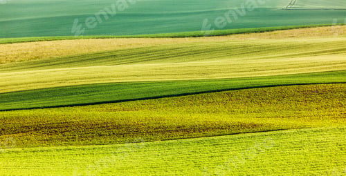 Preview: Abstract pattern of rolling fields