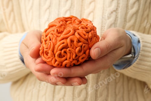 Preview: Red decorative brain in woman hands, closeup
