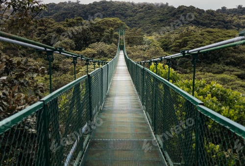 Preview: large bridge in the jungle of Monteverde, Costa Rica