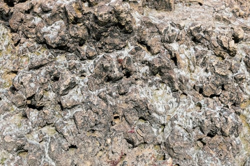 Preview: Texture background of natural rock.