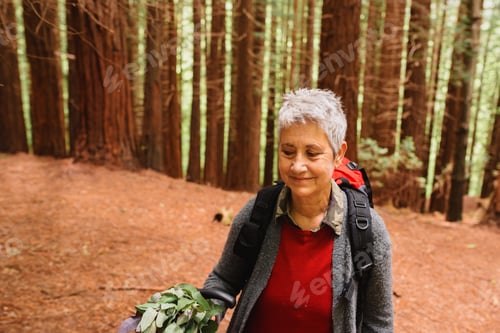 Preview: old age and physical activity