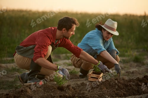Preview: Young People Working in Field