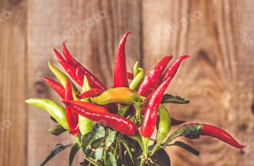 Preview: Capsicum mix in the pot