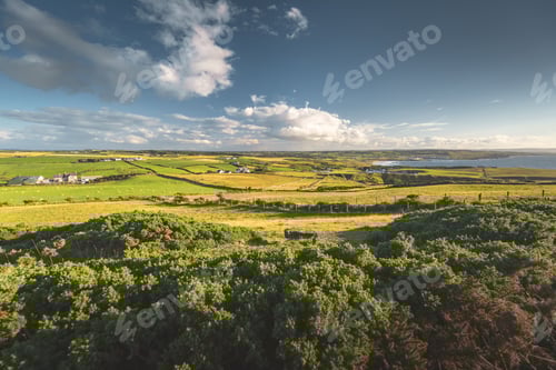 Preview: Irish countryside landscape. The trees, meadows