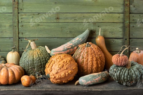 Preview: Different Types of Pumpkins and Winter Squashes