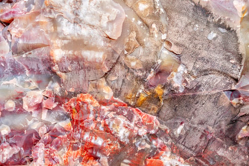 Preview: Petrified Forest National Park in Arizona