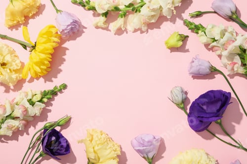 Preview: Beautiful, pink flowers on a white background.