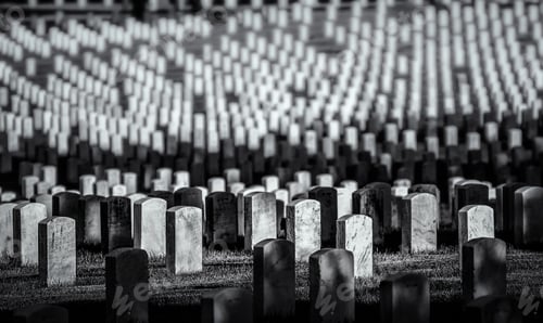 Preview: Gravestones in Arlington Cemetery, Virginia