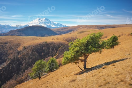 Preview: Elbrus mountain landscape and autumn pine.