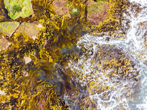 Preview: Pearses Beach Aerial in Australia