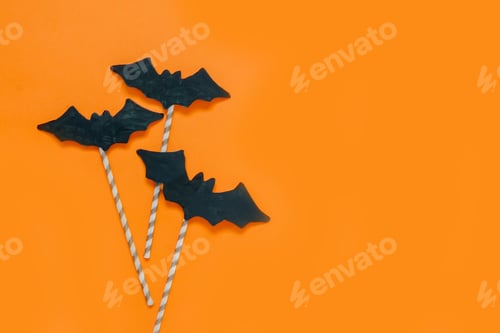 Preview: Happy halloween holiday. Halloween decorations, black and white pumpkins, bats, ghosts on a black