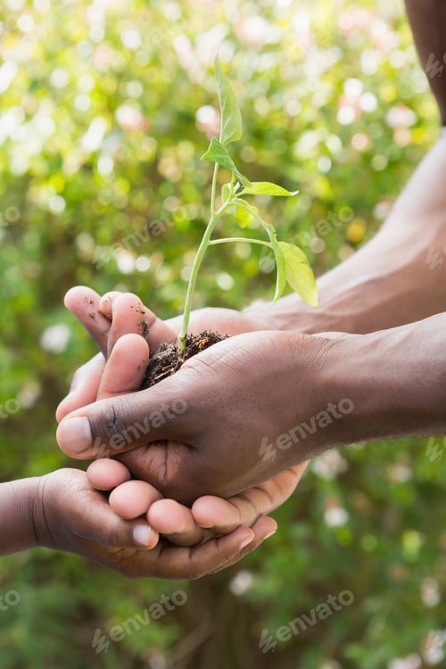 Preview: A man plant a flower with a child in the garden