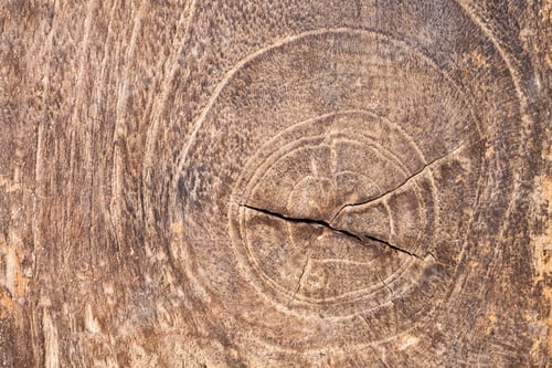 Preview: Wood texture. Abstract background