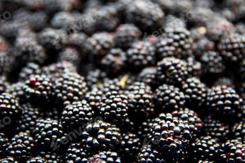 Preview: Ripe juicy wild fruit raw blackberries lying on the table