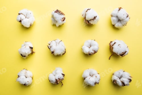 Preview: cotton flowers on yellow