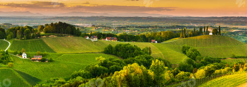 Preview: South styria vineyards landscape, near Gamlitz, Austria, Europe. Grape hills view from wine road in