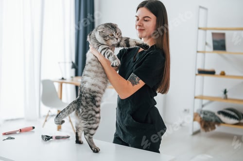 Preview: Woman Holding Striped Cat Indoors in Natural Light
