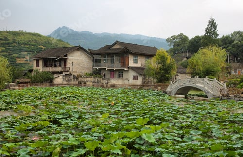 Preview: Dam full plants i in Furong (Hibiscus) ancient village