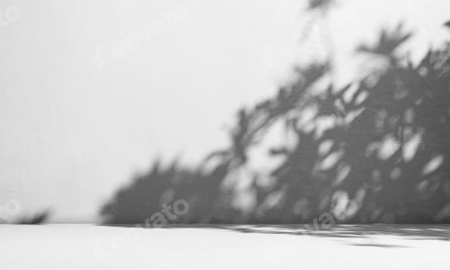 Preview: Background White Studio Room Product,Shadow Leaf on Wall Floor Backdrop