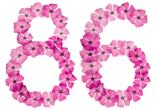 Preview: Numeral 86, eighty six, from natural pink flowers of periwinkle, isolated on white background