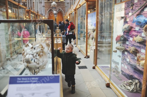 Preview: A little boy exploring exhibition at the Oxford Natural museum