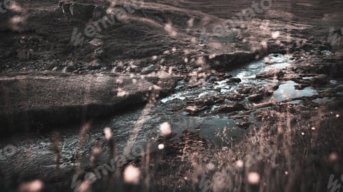 Preview: Field by Kirkjufell Mountain in Iceland